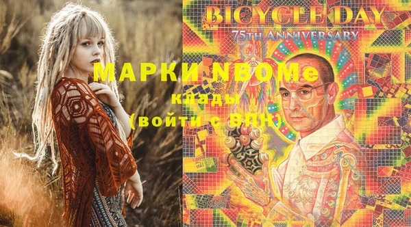 индика Алексеевка
