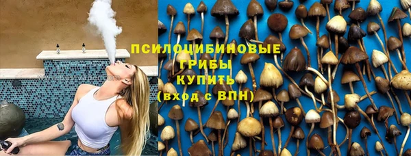 молекула духа Алзамай